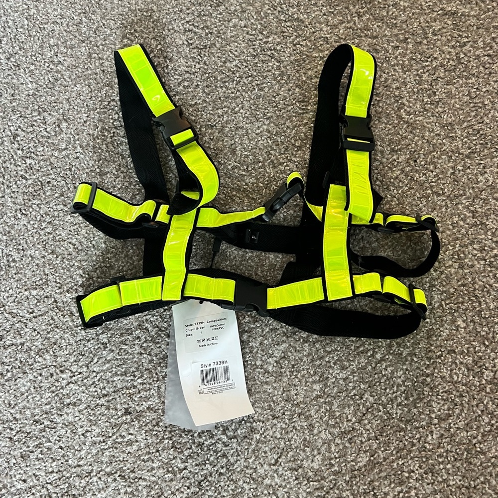 I heart raves harness